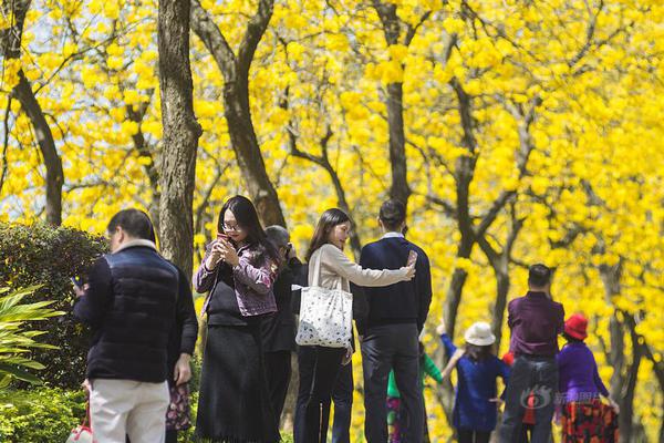 【吃瓜網(wǎng)站黑科爆料】最低氣溫會降至8至10攝氏度