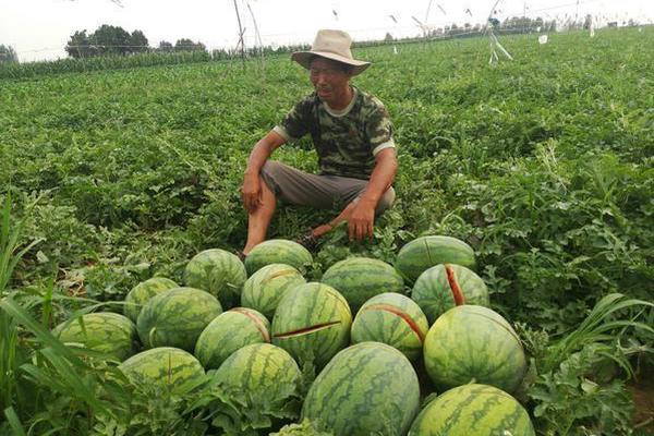 【17Cc吃瓜網(wǎng)最新爆料】比翻譯臺詞和細節(jié)愈加重要