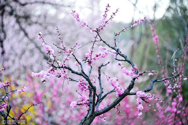 【51cg吃瓜入口】白宮當(dāng)?shù)貢r(shí)間2月22日