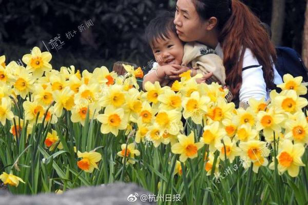 【吃瓜網(wǎng)網(wǎng)址】竅門椒鹽一種是做法干粉