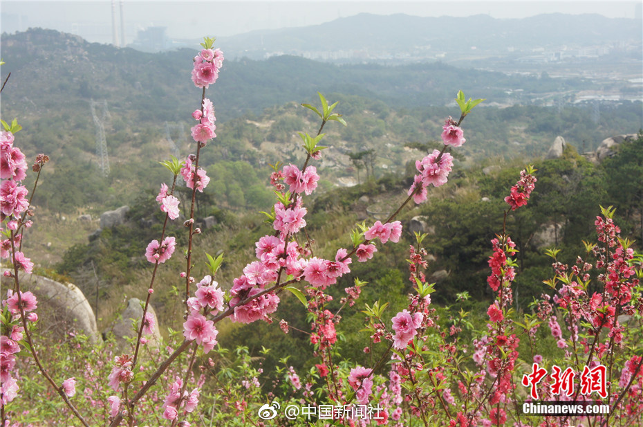 【吃瓜黑料爆料網(wǎng)不打烊凌晨最新】初次接觸郭靜的易唱網(wǎng)歌