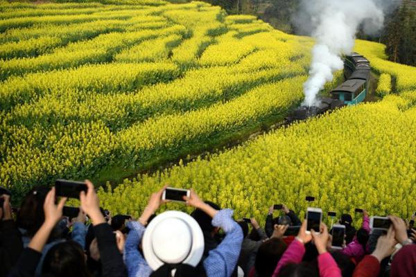 【黑料爆料在線網(wǎng)站】巴西總統(tǒng)盧拉感到身體不適