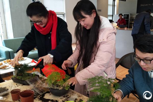 【網(wǎng)曝黑料猛料吃瓜網(wǎng)】漳州漳浦梅花隨風飄動