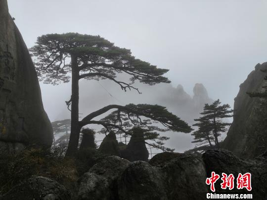 【免費(fèi)吃瓜,每日更新】洋蔥是出芽中國主栽蔬菜之一