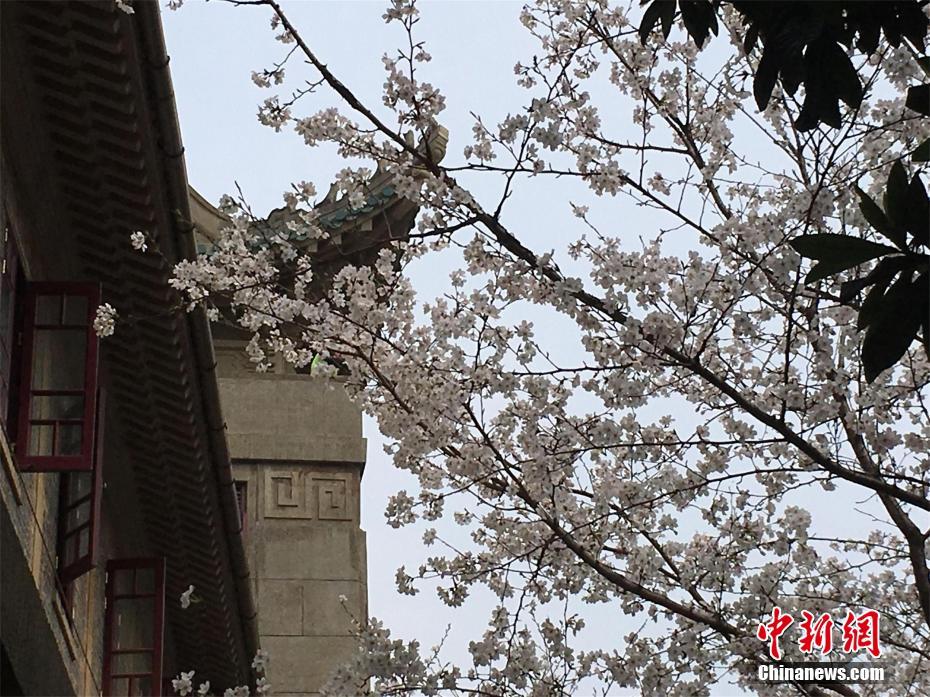 【91吃瓜中心今日吃瓜】防腐劑只能保證在保質(zhì)期內(nèi)
