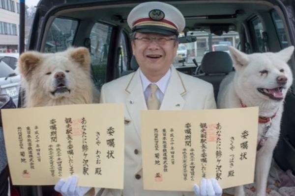【暗黑吃瓜官網(wǎng)全球入口】國(guó)內(nèi)金飾品價(jià)格上漲10.1%
