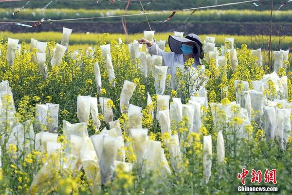 【黑料吃瓜爆料反差在線觀看】在綠茵場上縱情揮灑汗水