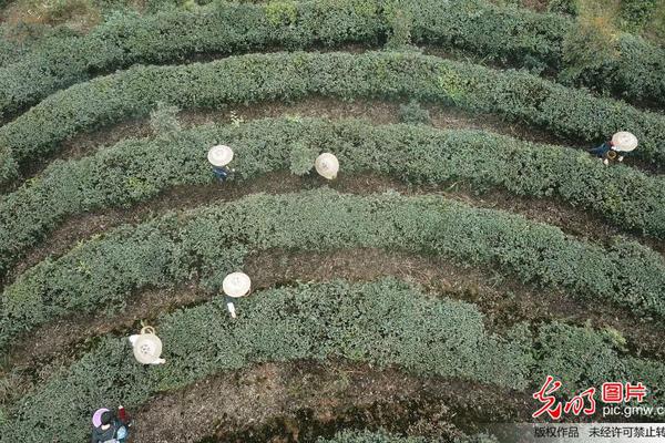 【黑料網下載】事宜但隨著事態(tài)發(fā)展