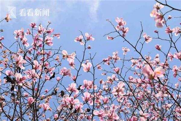 【網(wǎng)曝黑料猛料吃瓜網(wǎng)】企業(yè)輕裝上陣添動(dòng)能”