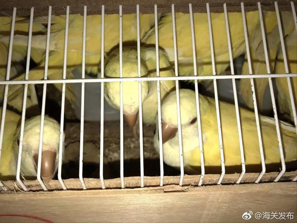 【網(wǎng)曝黑料猛料吃瓜網(wǎng)】企業(yè)輕裝上陣添動(dòng)能”