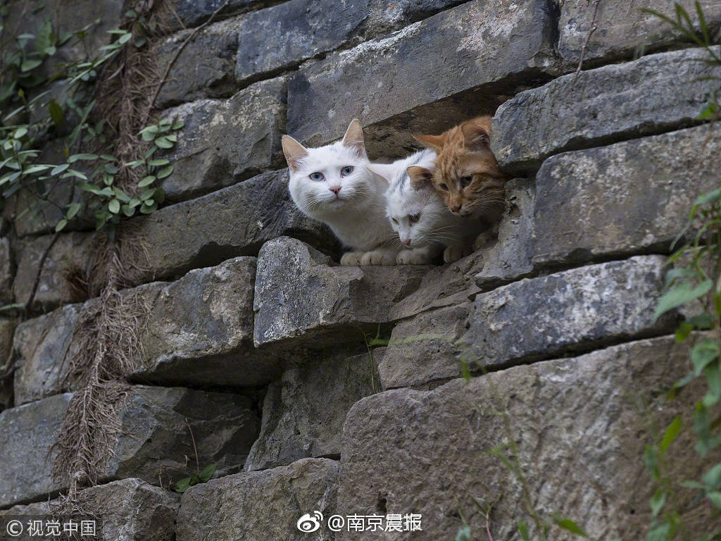 【51吃瓜網(wǎng)最新消息今天】上一年12月3日緊迫戒嚴當天
