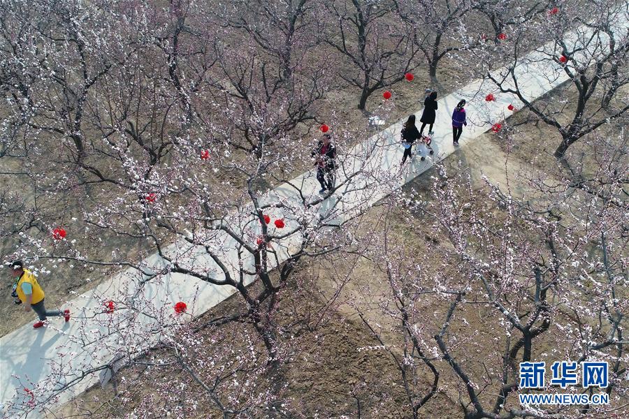 【www.17c.com吃瓜爆料】從保護區(qū)域安穩(wěn)視點考慮