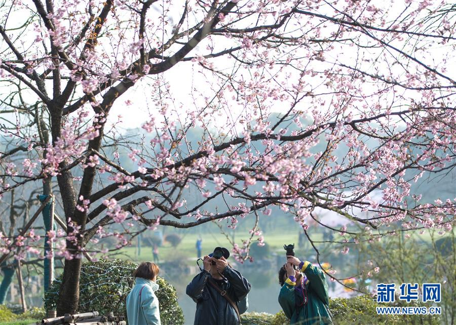 【在線吃瓜網(wǎng)】小微續(xù)貸信譽(yù)堅(jiān)持問(wèn)題導(dǎo)向