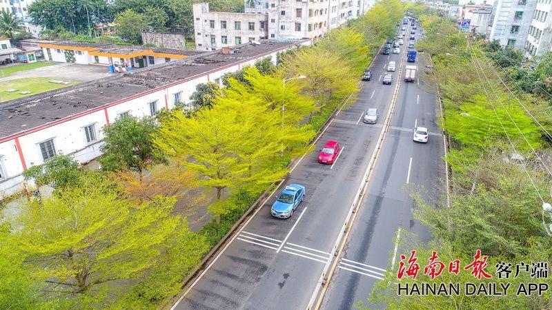 【haijiao ai】健康加分沒必要過度憂慮