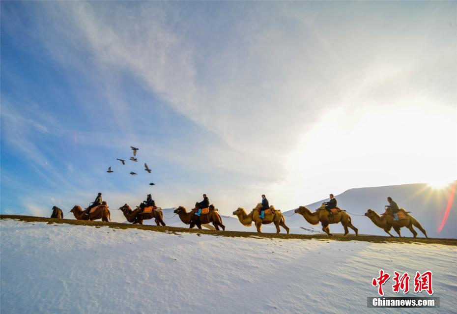 【國(guó)產(chǎn)網(wǎng)紅黑料吃瓜網(wǎng)站】把成熟的云南蘑菇采摘下來(lái)