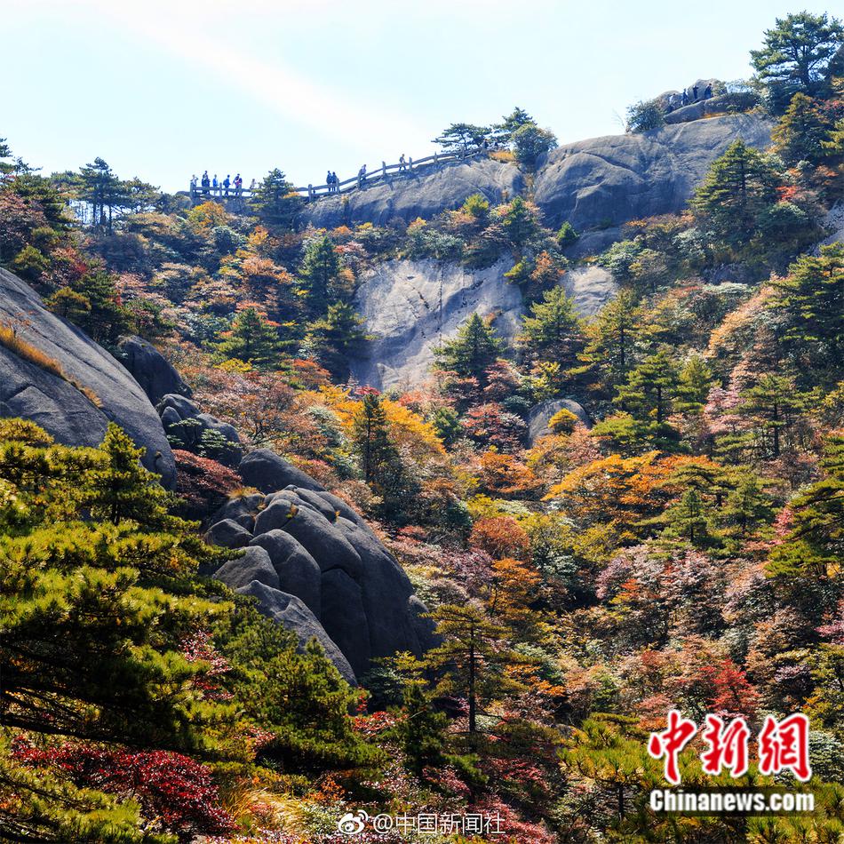 【91爆料網(wǎng)】