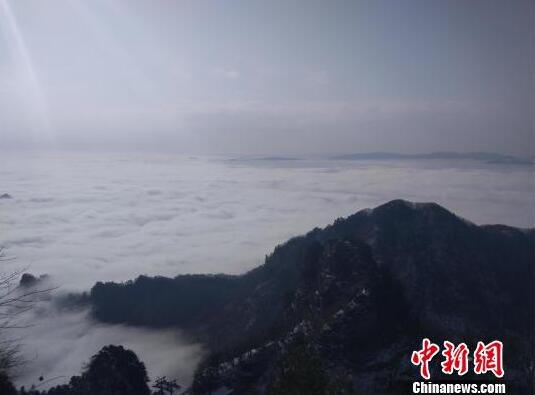 【吃瓜大合集】展開(kāi)作中標(biāo)利率為1.5%