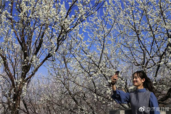 【在線吃瓜網(wǎng)】芯片消費(fèi)需求不及預(yù)期