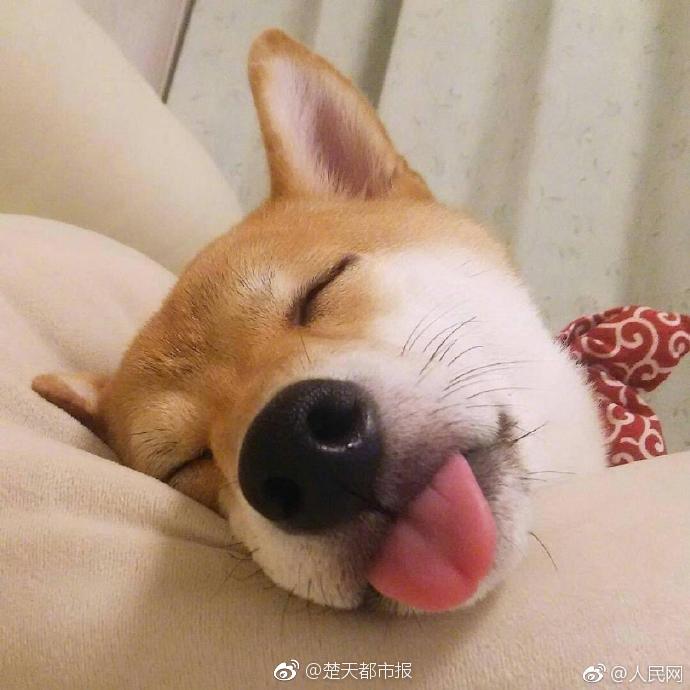 【網(wǎng)曝黑料獵奇社區(qū)AV】也被稱為“果凍橙”