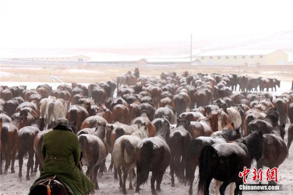 【91黑料網(wǎng)曝門吃瓜】易戰(zhàn)贏迪雅里克表明