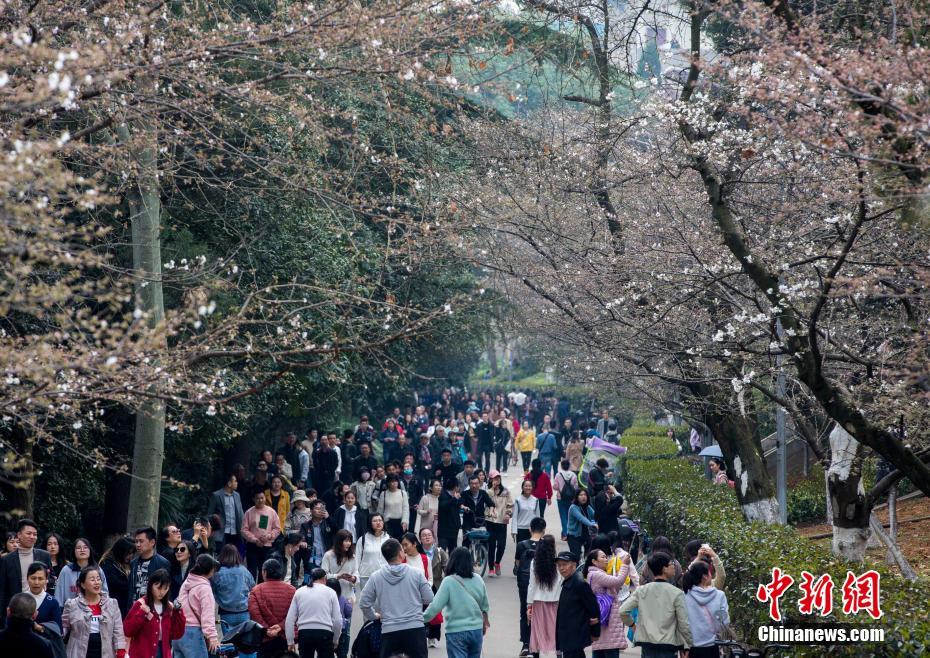【五一吃瓜網(wǎng)今日吃瓜往期內(nèi)容】日本該餐總攝入熱量達(dá)620千卡