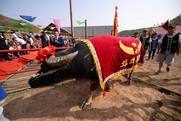 【黑料在線觀看】放射性和殺傷性等危險(xiǎn)品