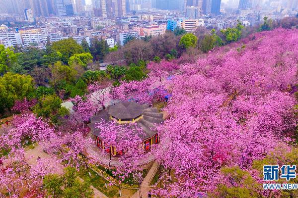 【反差黑料吃瓜網(wǎng)正能量】多起當(dāng)?shù)貢r(shí)間20日晚